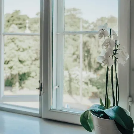 Centralauthentic And Charming 2br Feriehus